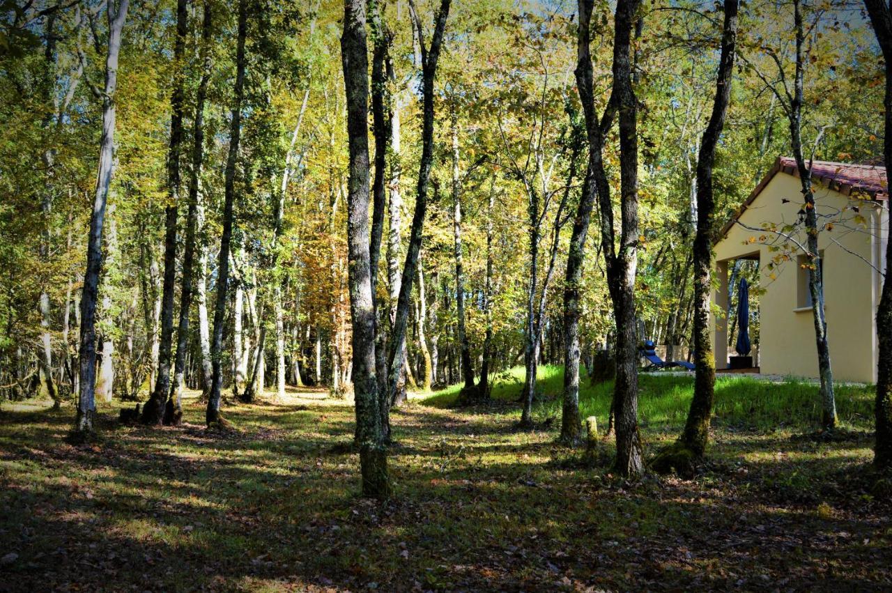 Gite Spa & Nature Saint-Chamassy Exteriör bild